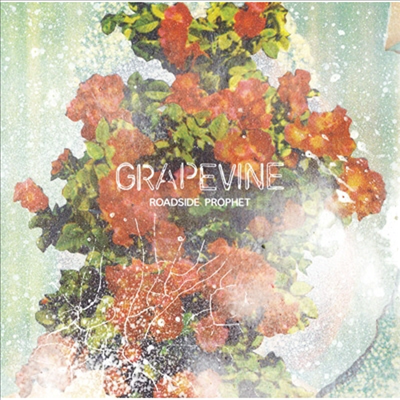 Grapevine (그레이프바인) - Roadside Prophet (CD)