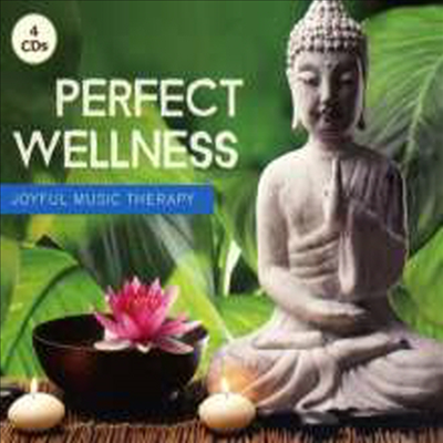 Various Artists - Perfect Wellness-Joyful Music Therapy (4CD Set)(Digipack)