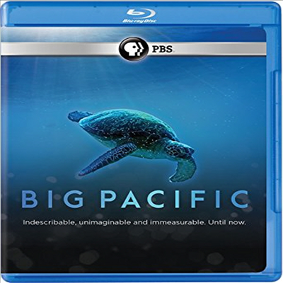 Big Pacific (빅 퍼시픽)(한글무자막)(Blu-ray)