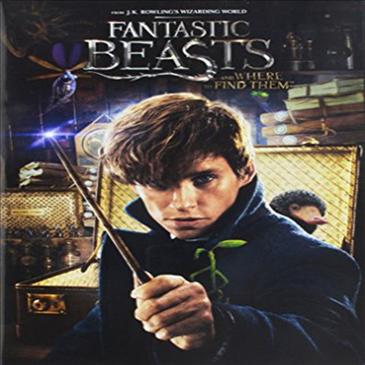 Fantastic Beasts & Where To Find Them (신비한 동물사전)(지역코드1)(한글무자막)(DVD)