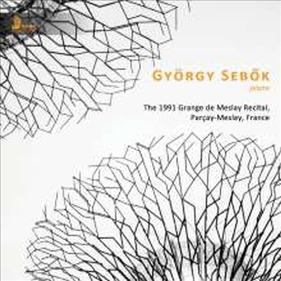 죄르지 세복 - 피아노 리사이틀 1991 (The 1991 Grange de Meslay Recital)(CD) - Gyorgy Sebok