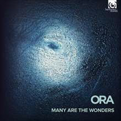 르네상스의 보물과 그 반영 (Many are the wonders)(CD) - Suzi Digby