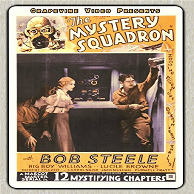 Mystery Squadron (1933) (Silent) (미스테리 스콰드론)(지역코드1)(한글무자막)(DVD)