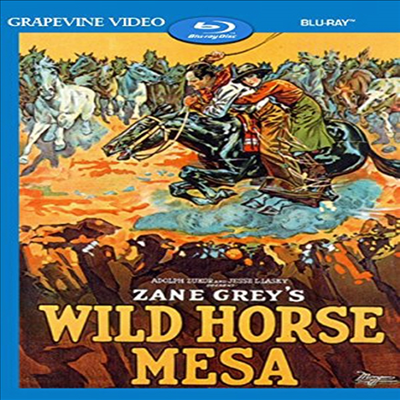 Wild Horses Mesa (1925) (Silent) (와일드 호시즈 메사)(한글무자막)(Blu-ray)