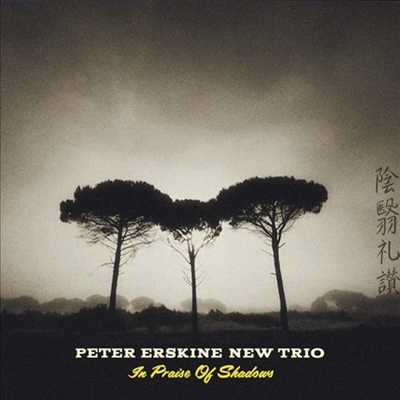 Peter Erskine New Trio - In Praise Of Shadows (CD)