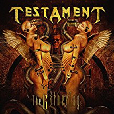 Testament - Gathering (LP)