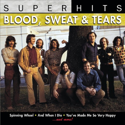 Blood, Sweat &amp; Tears - Super Hits (CD)