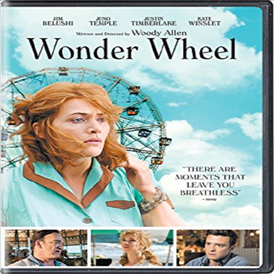 Wonder Wheel (원더 휠)(지역코드1)(한글무자막)(DVD)