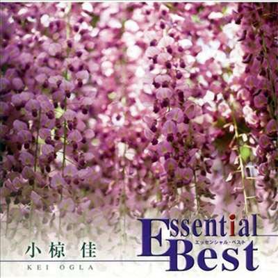 Ogla Kei (오구라 케이) - Essential Best 1200 Kei Ogura (CD)