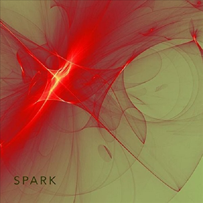 Andy Drudy Disorder - Spark (CD)