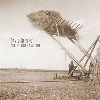 David Allen Ho - Eight Feet Wide & A Mile Deep (CD-R)