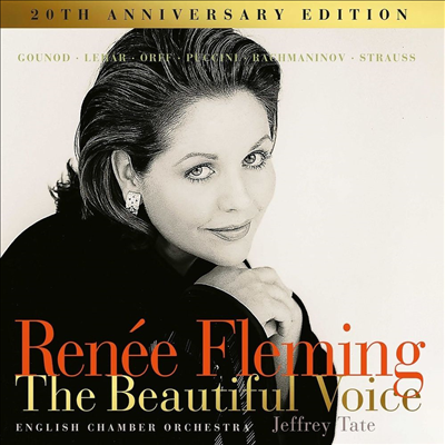 르네 플레밍 - 아름다운 목소리 (Renee Fleming - The Beautiful Voice) (180g)(2LP) - Renee Fleming