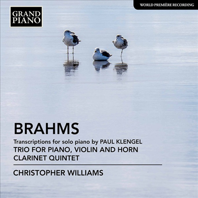 브람스: 클라리넷 오중주 & 호른 삼중주 - 피아노 편곡반 (Brahms: Clarinet Quintet & Horn Trio for Piano)(CD) - Christopher Williams