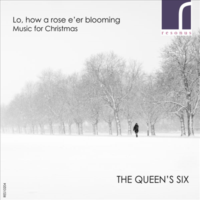 지지 않는 장미를 보라 - 크리스마스 음악 (Music for Christmas - The Queen&#39;s Six)(CD) - The Queen&#39;s Six