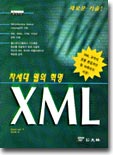 차세대 웹의 혁명 XML
