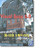 Visual Basic 6.0