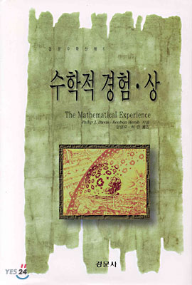 수학적 경험 (상)