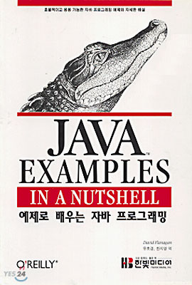 JAVA EXAMPLES IN A NUTSHELL