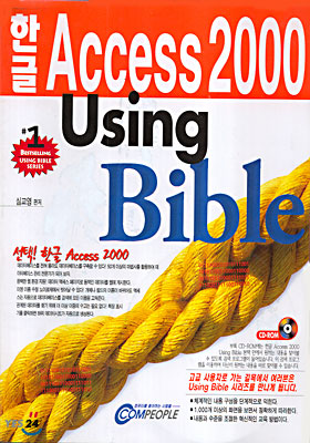 한글 ACCESS 2000 USING BIBLE