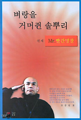 벼랑을 거머쥔 솔뿌리