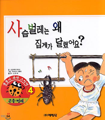 사슴벌레는 왜 집게가 달렸어요?