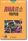 RNA 효소의 촉매작용