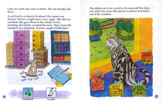 Oxford Storyland Readers Level 7 : The Lost Cat