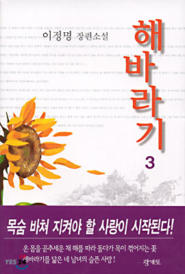 해바라기 3