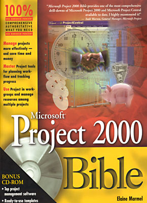 Microsoft Project 2000 Bible