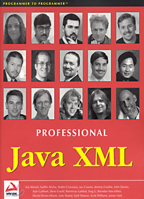 (Professional) Java XML