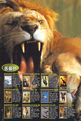내셔널 지오그래픽 비디오 클래식 - 동물편 (12 VHS)