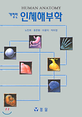 인체해부학