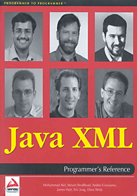 (Programmer&#39;s Reference) Java XML