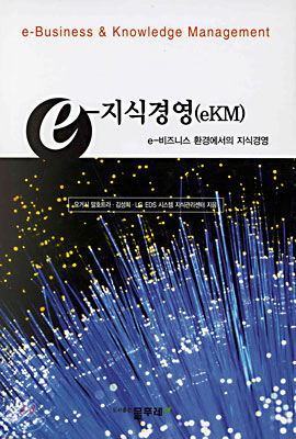 e-지식경영(eKM)