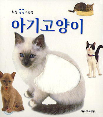 아기고양이