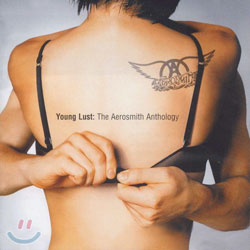 Aerosmith - Young Lust: The Aerosmith Anthology