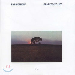 Pat Metheny - Bright Size Life