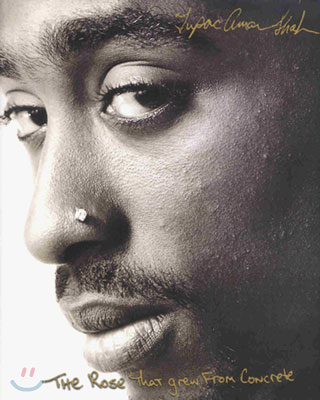 The Rose That Grew from Concrete