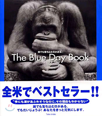 Blue Day Book(ブル-デイブック)