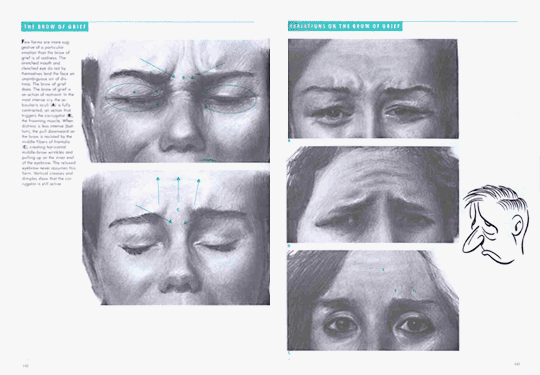 The Artist&#39;s Complete Guide to Facial Expression