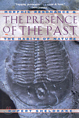 The Presence of the Past (Paperback, Reprint)