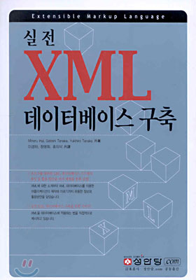 실전 XML 데이터베이스 구축
