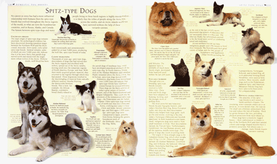 The New Encyclopedia of the Dog, 2nd edition