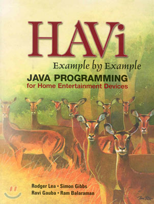 HAVi Example By Example