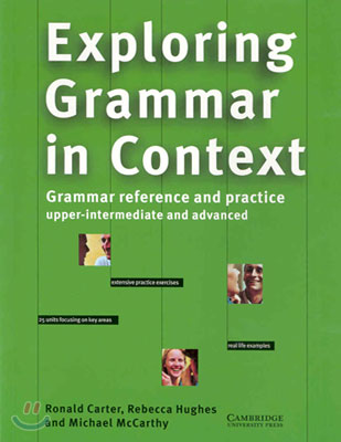 Exploring Grammar in Context