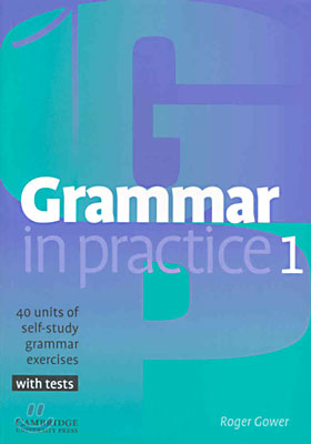 Grammar in Practice 1