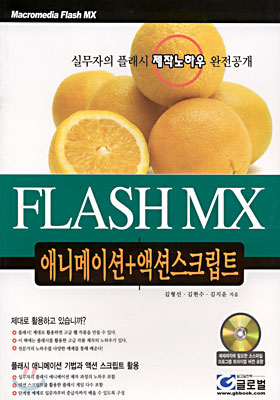 FLASH MX 애니메이션+액션스크립트