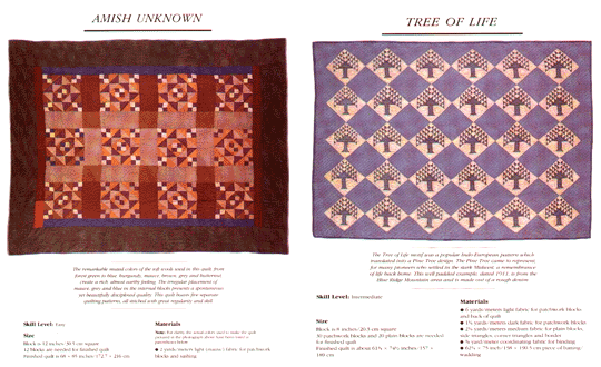 American Quilt Story