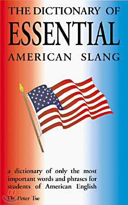 The Dictionary of Essential American Slang