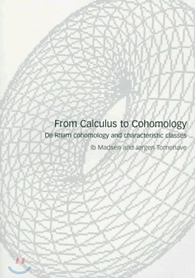 From Calculus to Cohomology